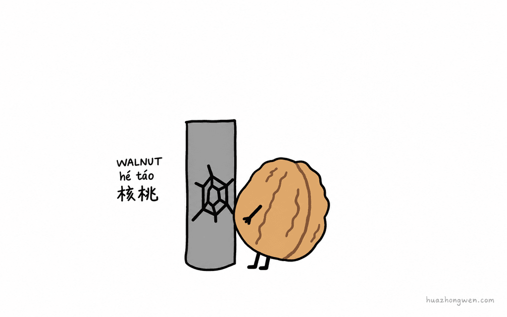 WALNUT: 核桃 (hé táo)
